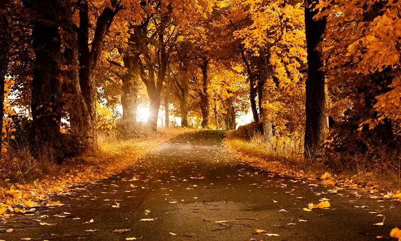 Intentional Gateway to Oneness Retreat