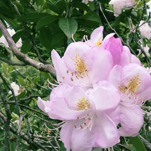 How Culture and Religion Invalidate our Feminine Side